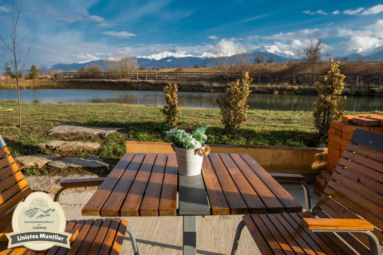 Linistea Muntilor Chalet Porumbacu de Sus Exterior photo