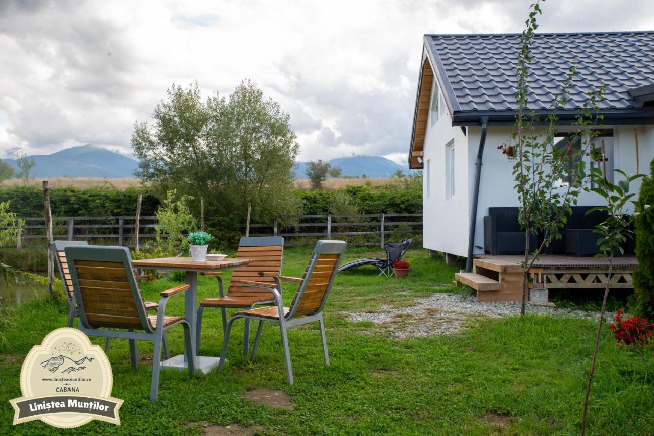 Linistea Muntilor Chalet Porumbacu de Sus Exterior photo